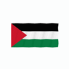 palestine-flag-lottie-animation-1